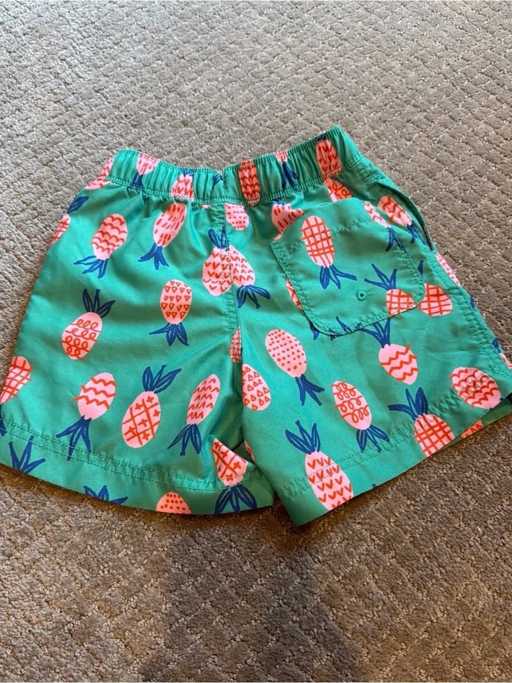 Hanna Andersson Pineapple Print Pull-On swim Shorts